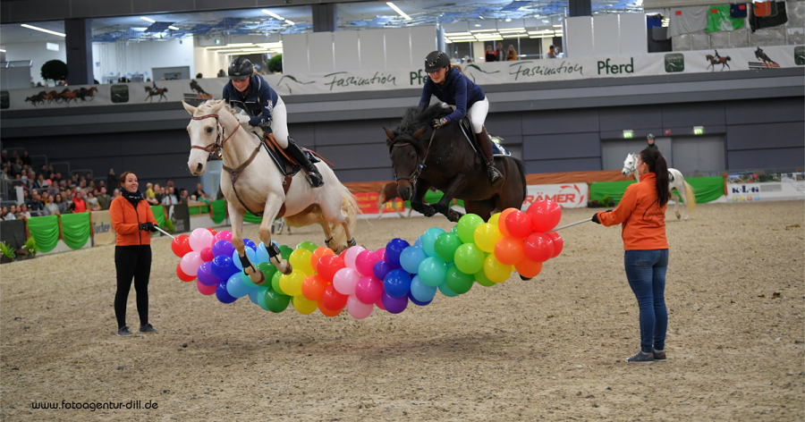 馬展，德國馬展，馬匹比賽